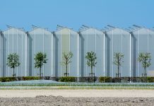 Ile kosztuje ułożenie paneli winylowych za m2 z robocizną i przygotowaniem posadzki? Ile kosztuje ułożenie paneli winylowych za m2 z robocizną i przygotowaniem posadzki?