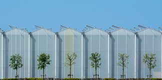 Ile kosztuje ułożenie paneli winylowych za m2 z robocizną i przygotowaniem posadzki?